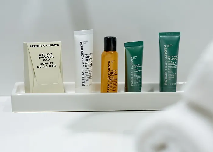 ホテル ヒルトン パーク 4*